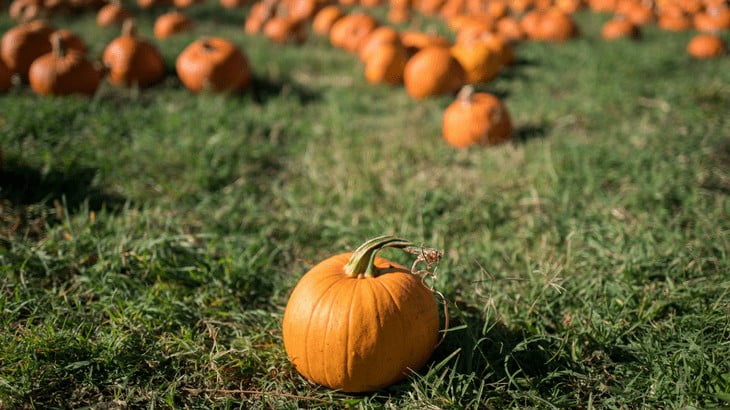 Read, Watched, Wrote: October 2017