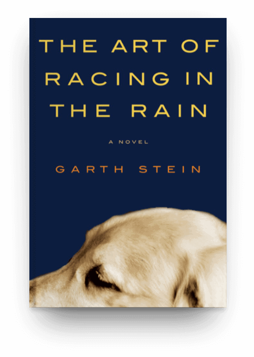 The Art of Racing in the Rain