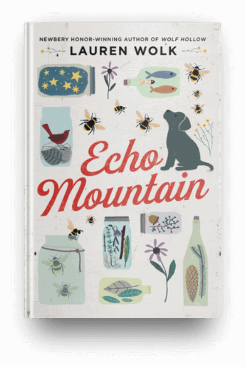 Echo Mountain by Lauren Wolk