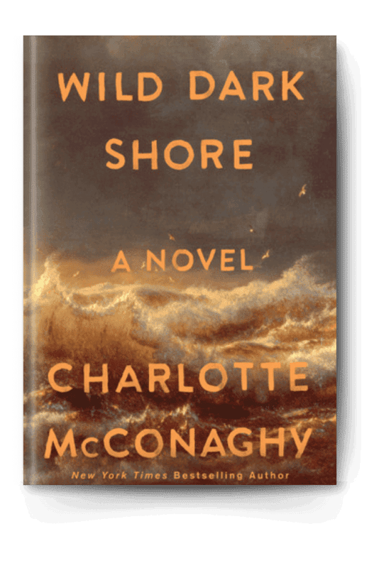 Wild Dark Shore