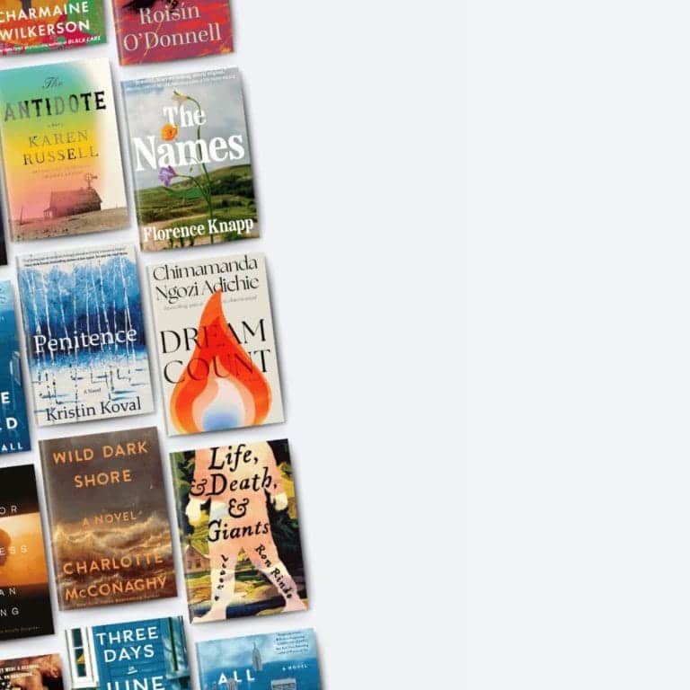 Covers of 2025 literary fiction novels